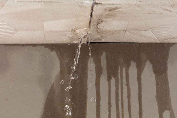 Professional Water Damage Inspection technician working in Eagleville, TN